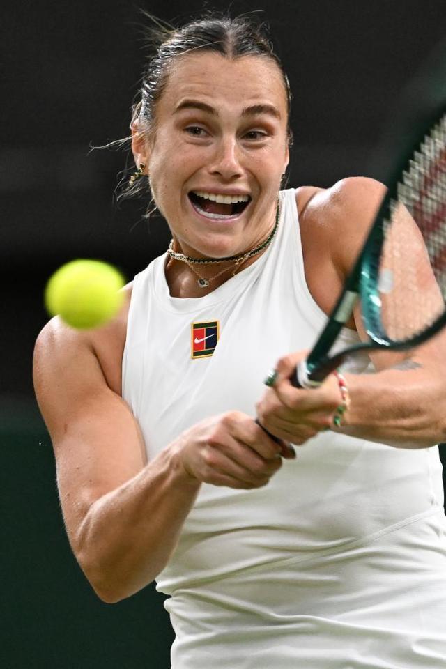 在逆境中证 在逆境中证