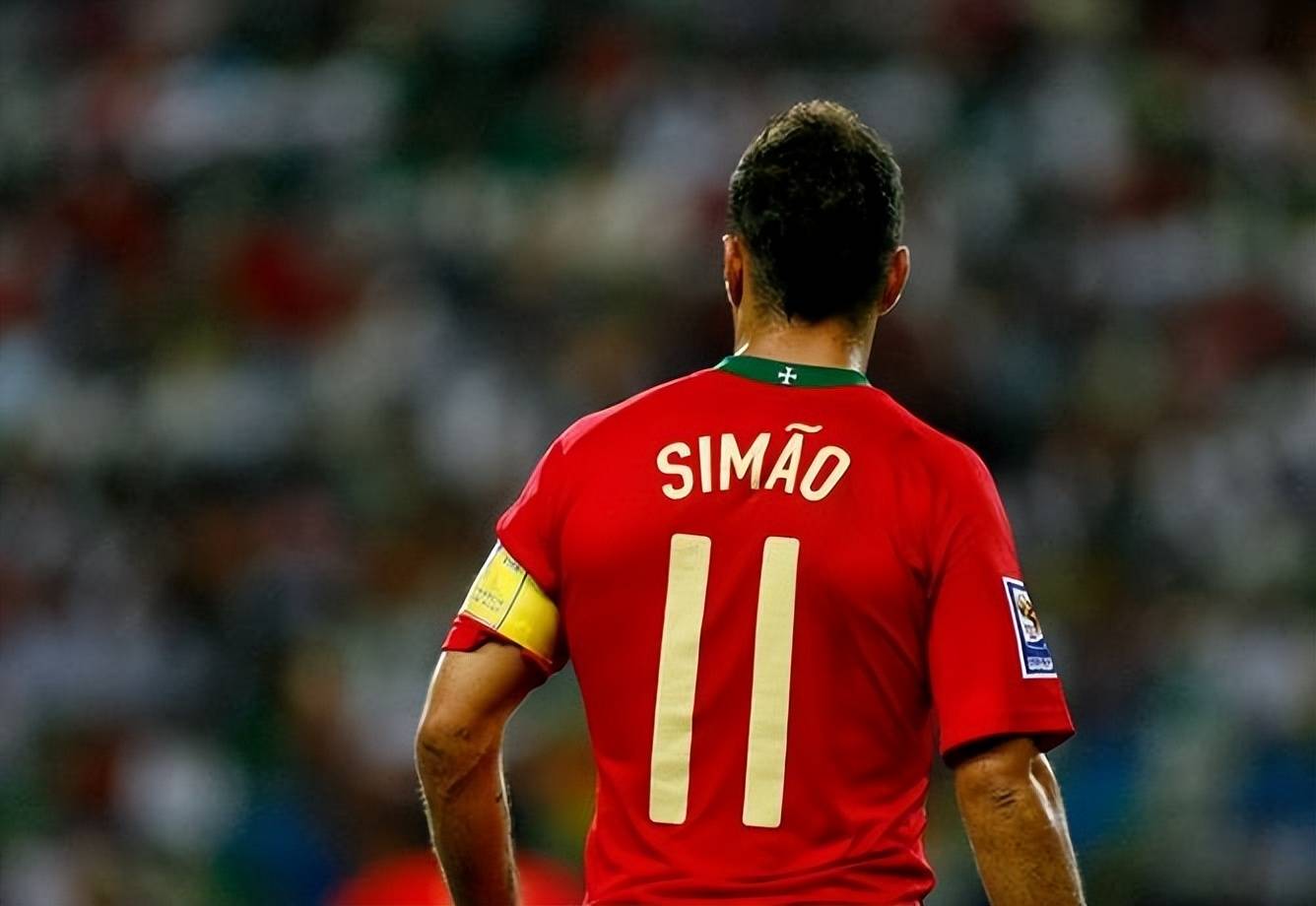 首次引入了 首次引入了