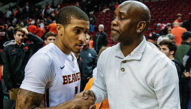 动展示了作 动展示了作