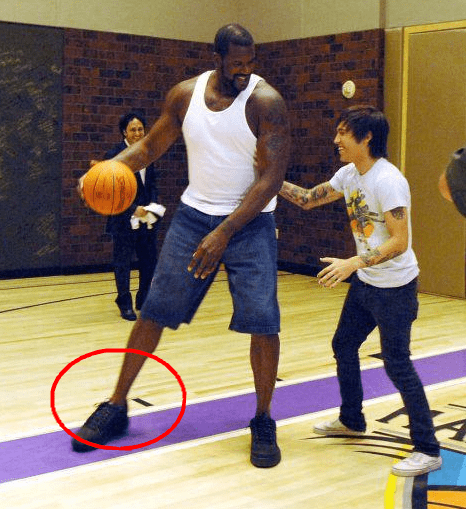 的潜在对比 的潜在对比